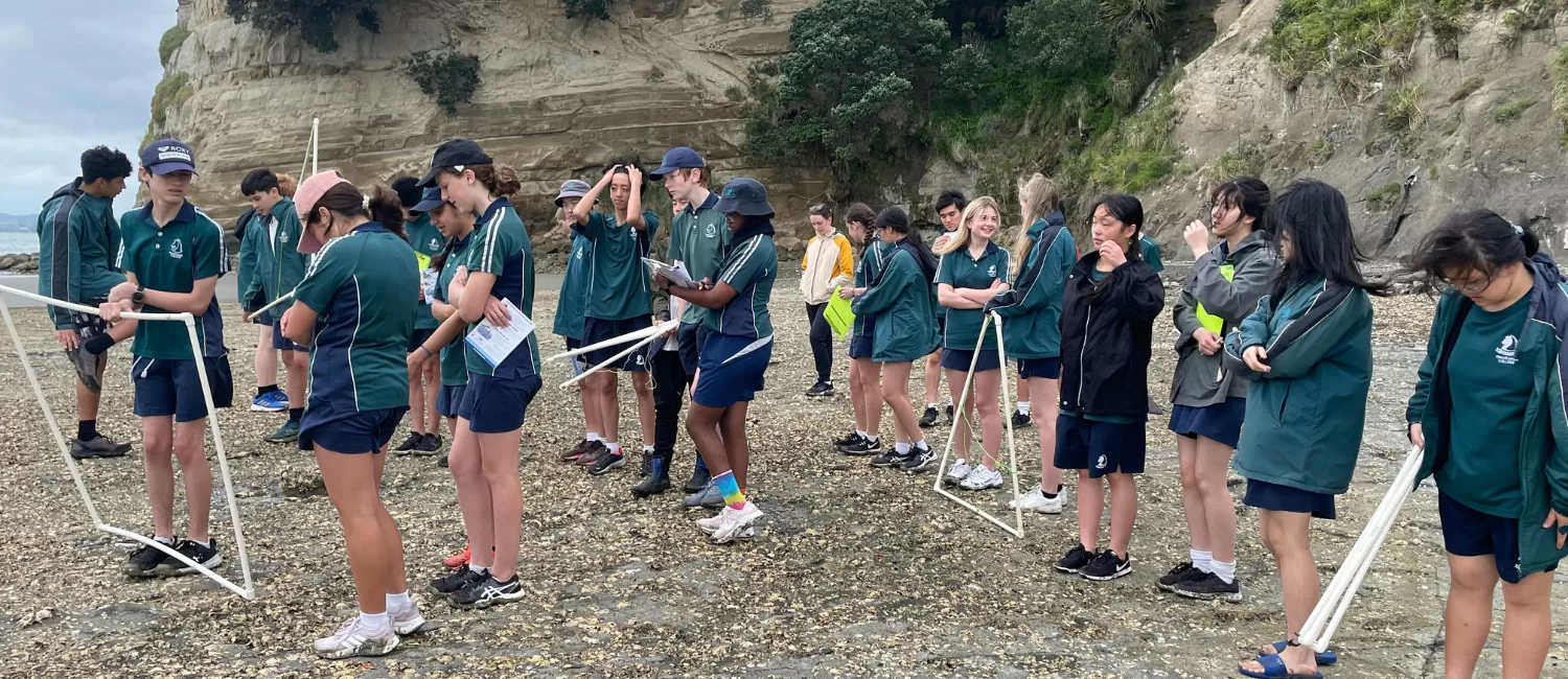 Exploring Marine Science, One Beach at a Time!