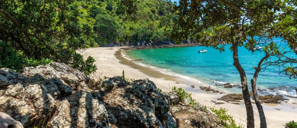 Waiheke Island beach