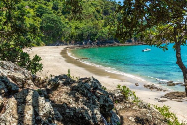 Waiheke Island beach